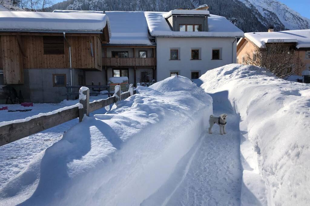 Loft 100M2, Im Oekohaus In Susch Apartment Exterior photo